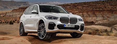 BMW X5 manuals and service information