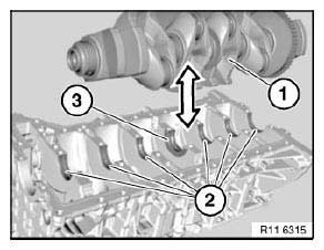 Crankshaft With Bearing