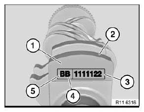 Crankshaft With Bearing