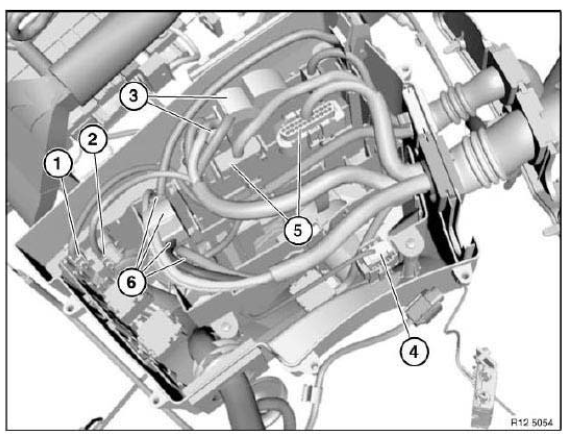 Engine Wiring Loom