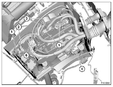 Engine Wiring Loom