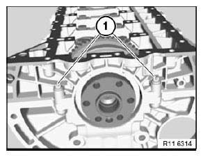 Crankshaft With Bearing