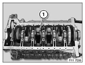 Crankshaft With Bearing