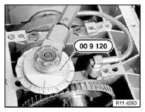 Crankshaft With Bearing