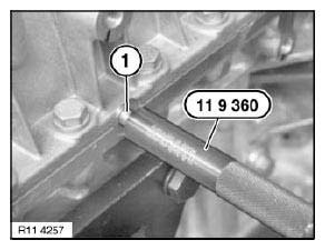 Crankshaft With Bearing